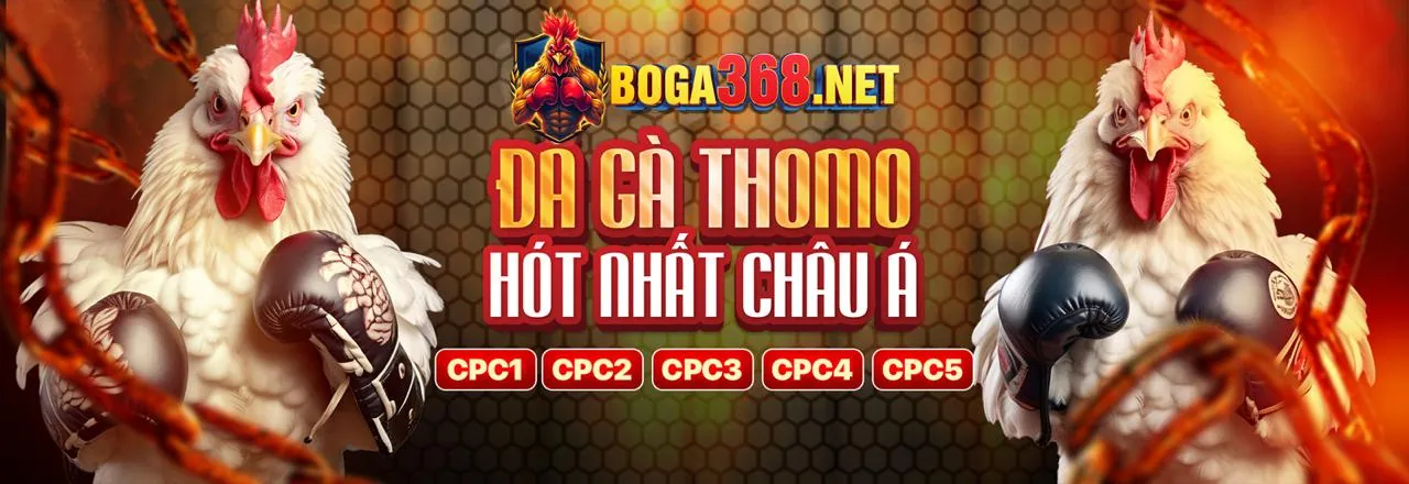 Đá Gà Trực Tuyến SH BET - Sân Đấu Kịch Tính